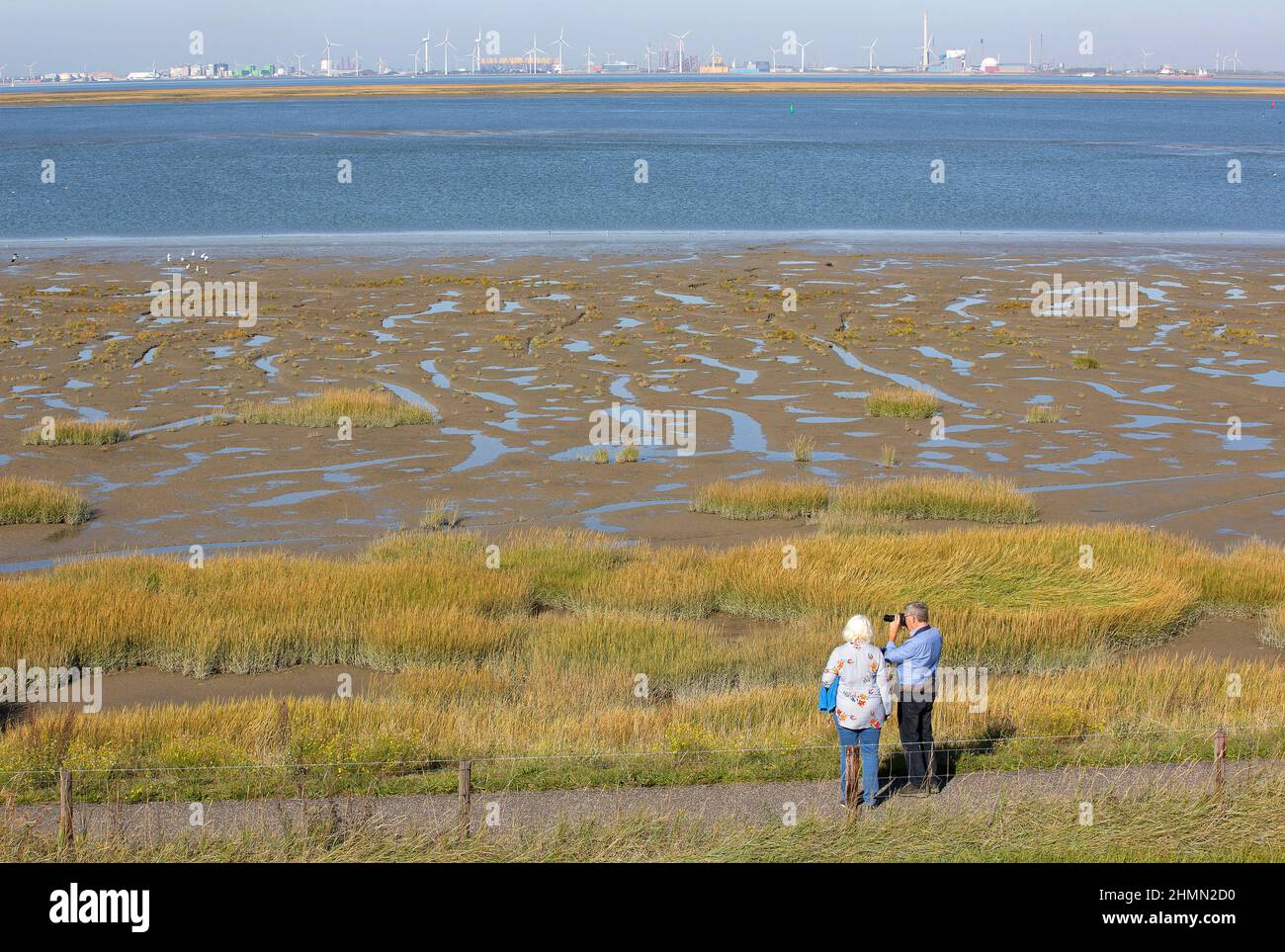 Attività ricreative nella riserva naturale di Paulinaschor, Paesi Bassi, Zeeuws-Vlaanderen, Paulinaschoor, Braakmankreek Foto Stock