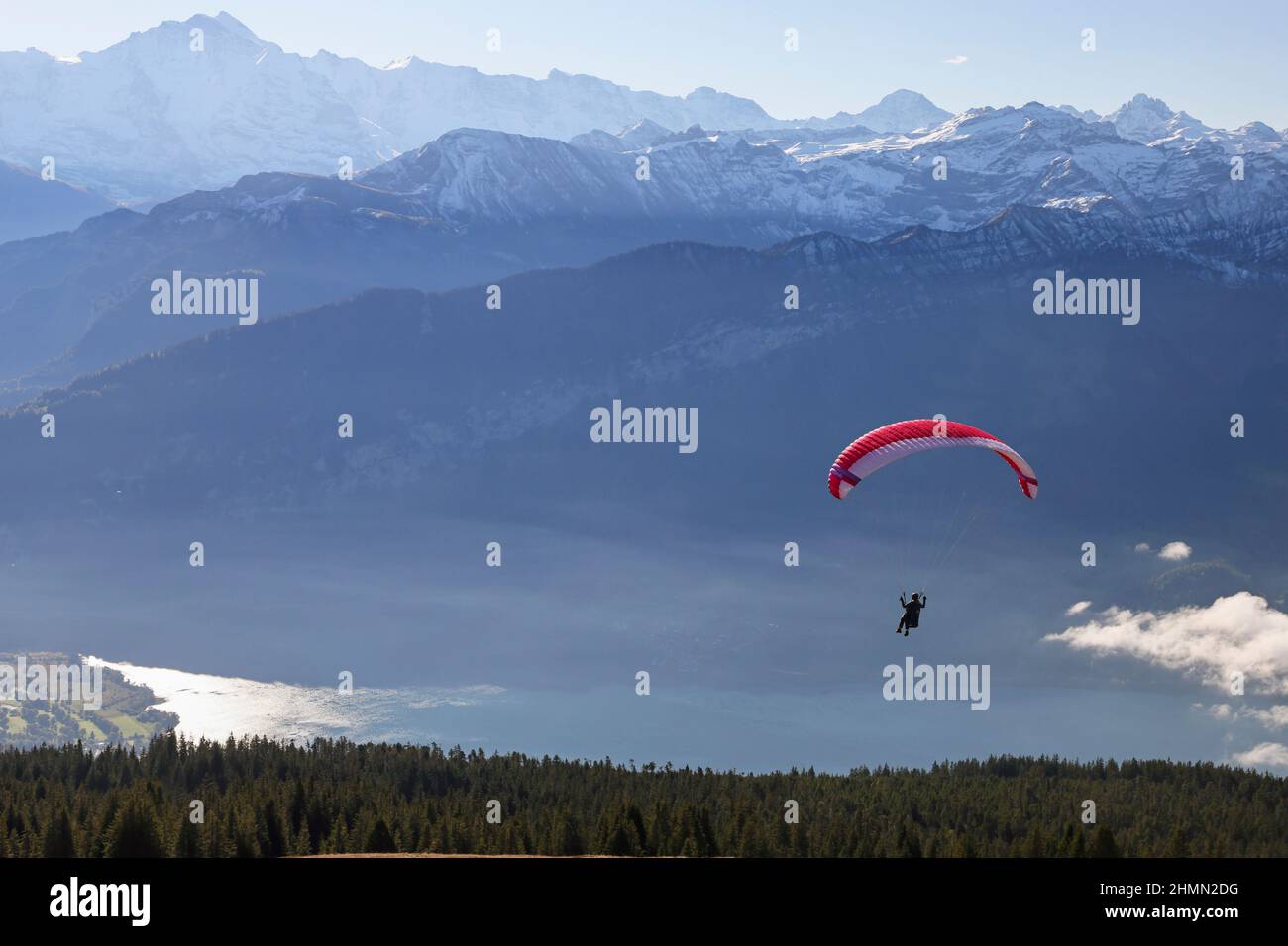 Parapendio dal Niederhorn sul Lago Thun, Svizzera, Oberland Bernese, Beatenberg Foto Stock