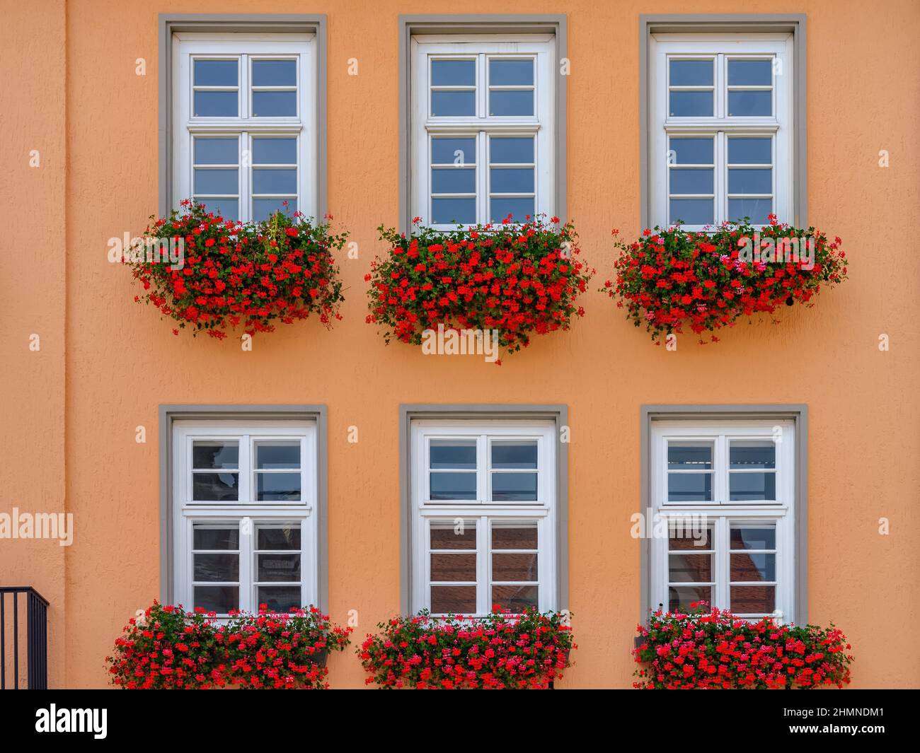 Finestre con decorazioni floreali nel centro storico di Quedlinburg, Sassonia-Anhalt, Germania. Foto Stock