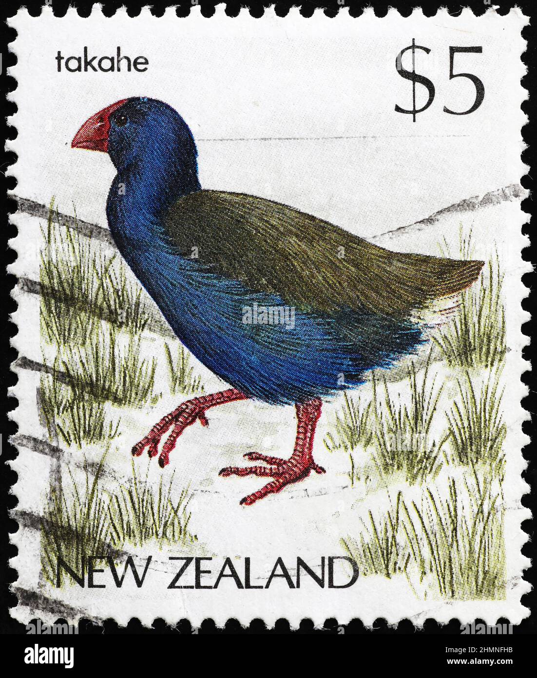 South Island Takahe sul francobollo neozelandese Foto Stock