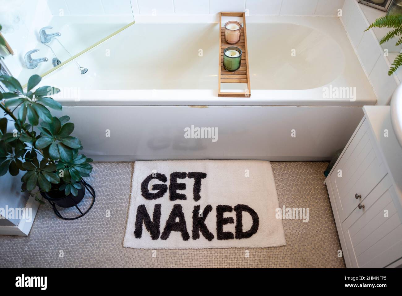 Un'ampia vista ad angolo alto di un moderno bagno interno decorato con piante di casa e un divertente tappeto da bagno. Foto Stock