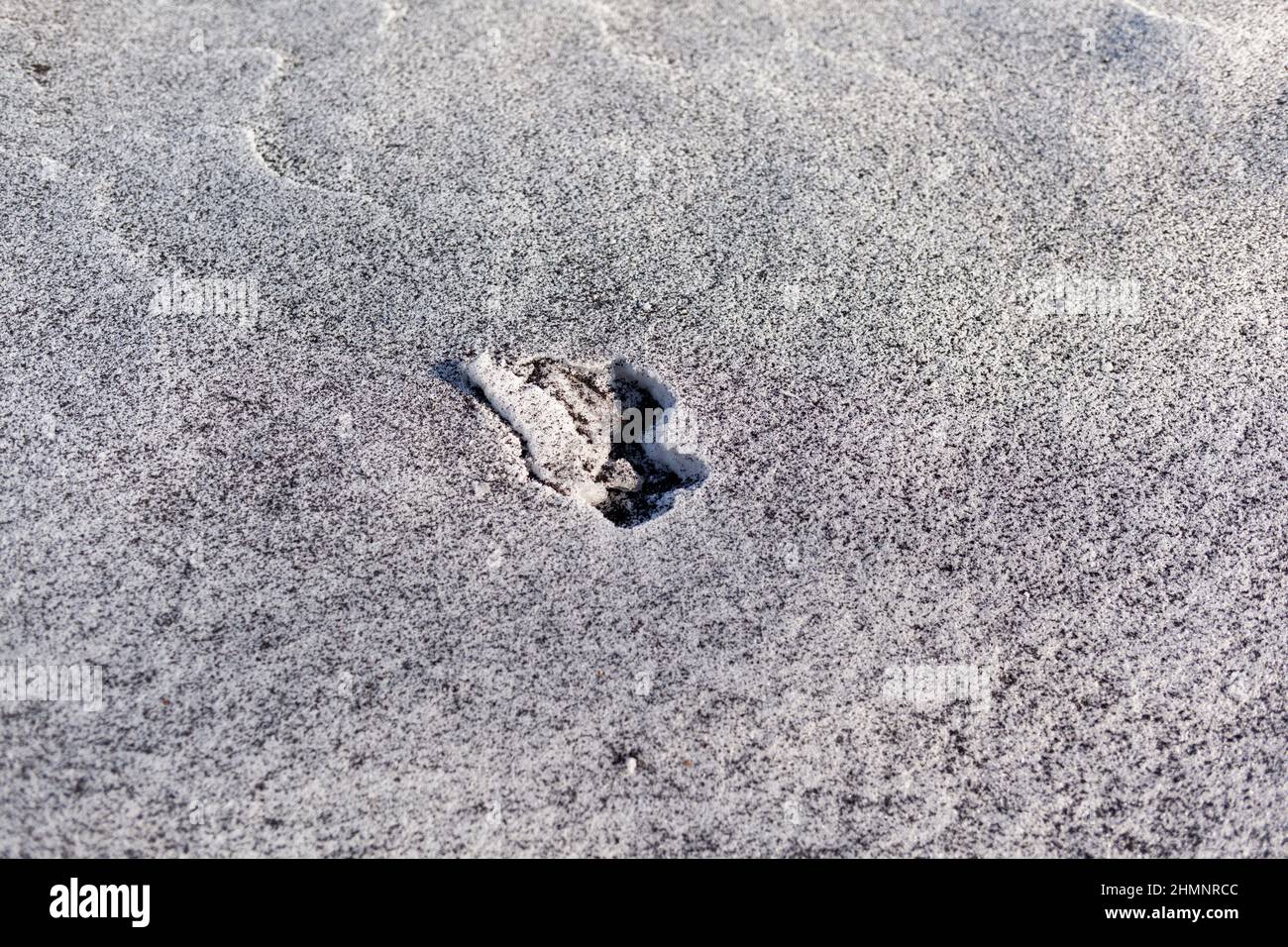 Fuliggine nera dal locale caldaia su neve bianca. Sfondo naturale. Neve mescolata con fuliggine di carbone, scarsa ecologia. Inquinamento ambientale Foto Stock