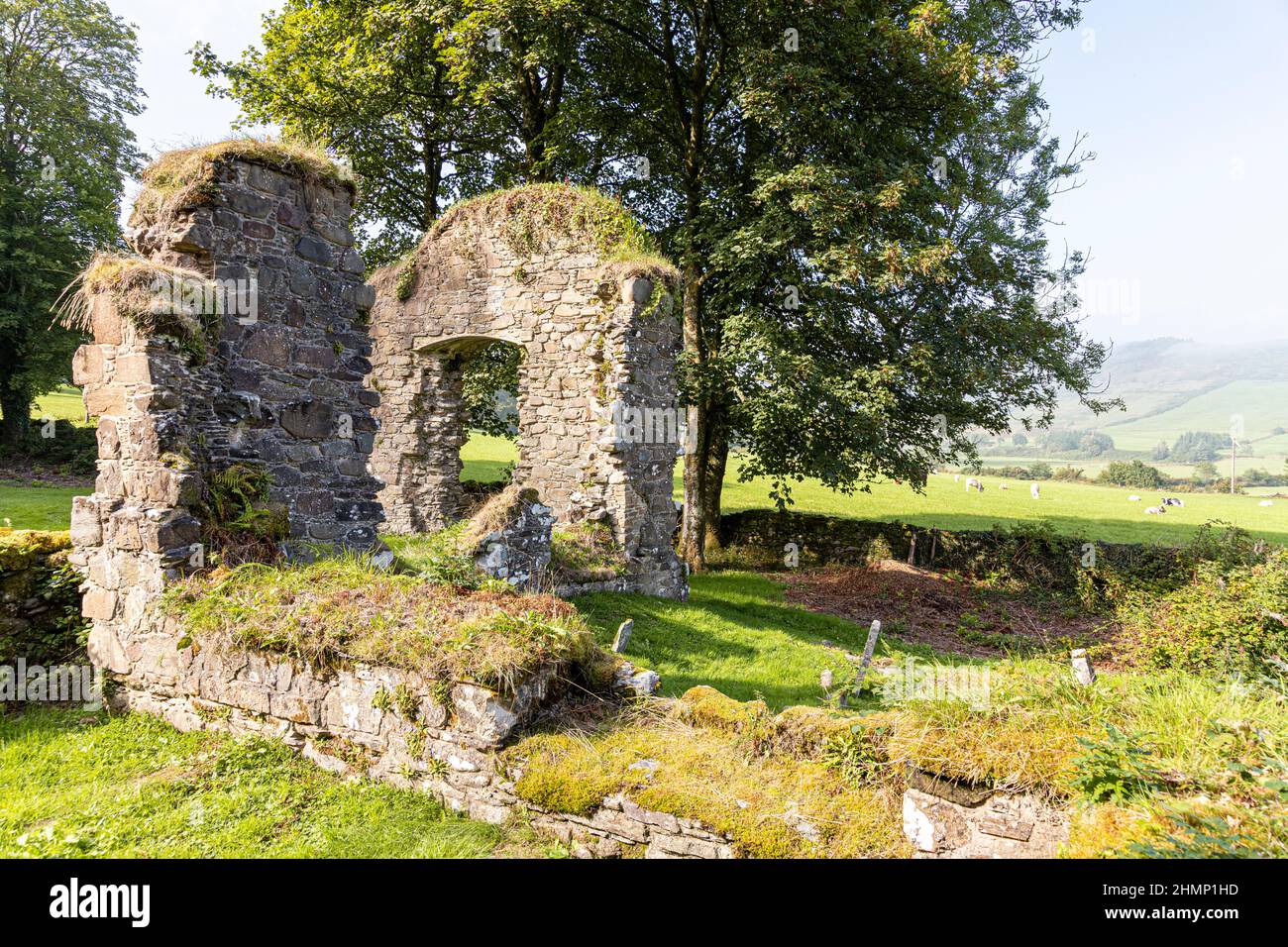 Le rovine dell'abbazia cistercense Saddell sulla penisola di Kintyre, Argyll & Bute, Scozia Regno Unito Foto Stock