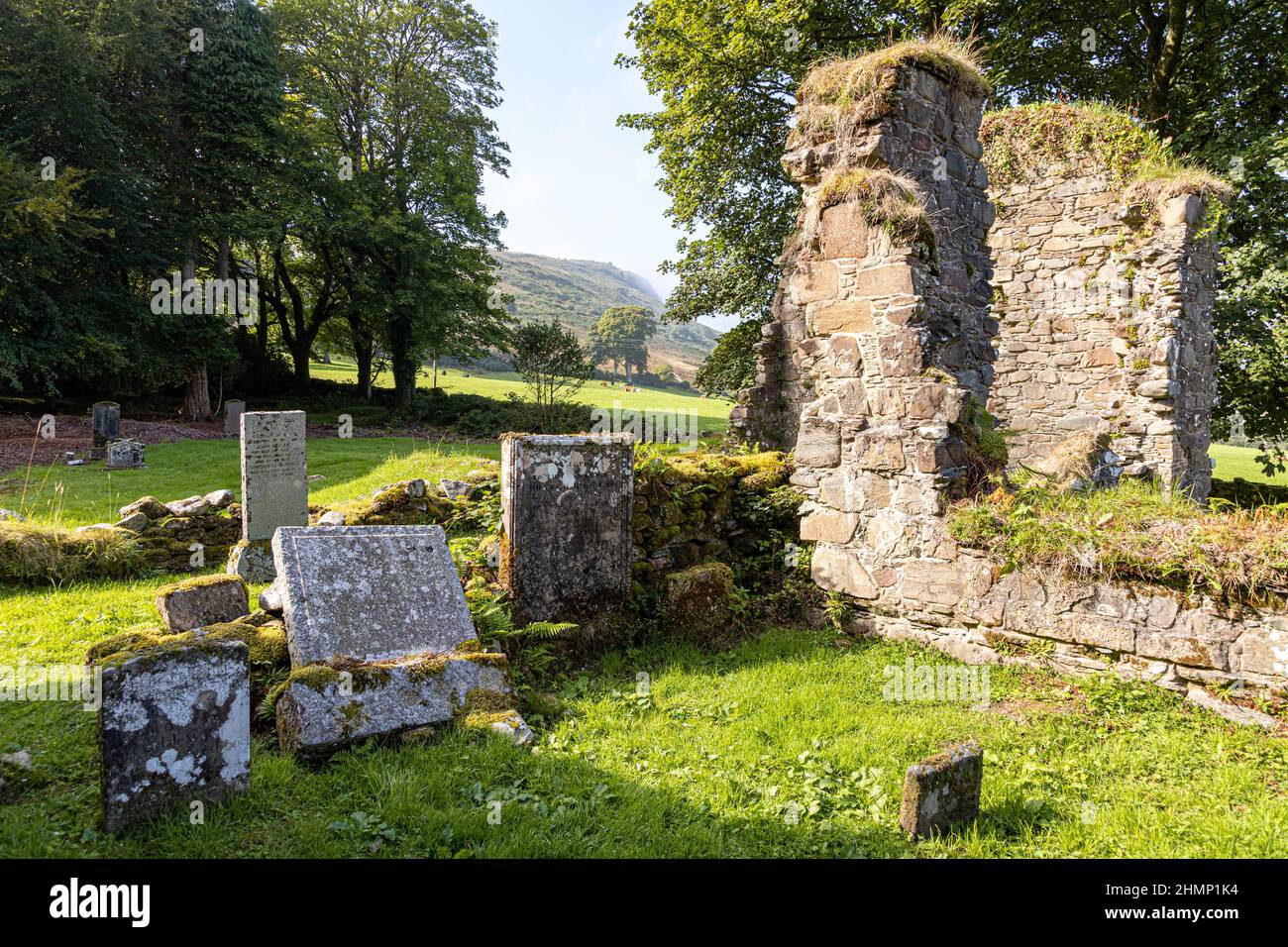 Le rovine dell'abbazia cistercense Saddell sulla penisola di Kintyre, Argyll & Bute, Scozia Regno Unito Foto Stock