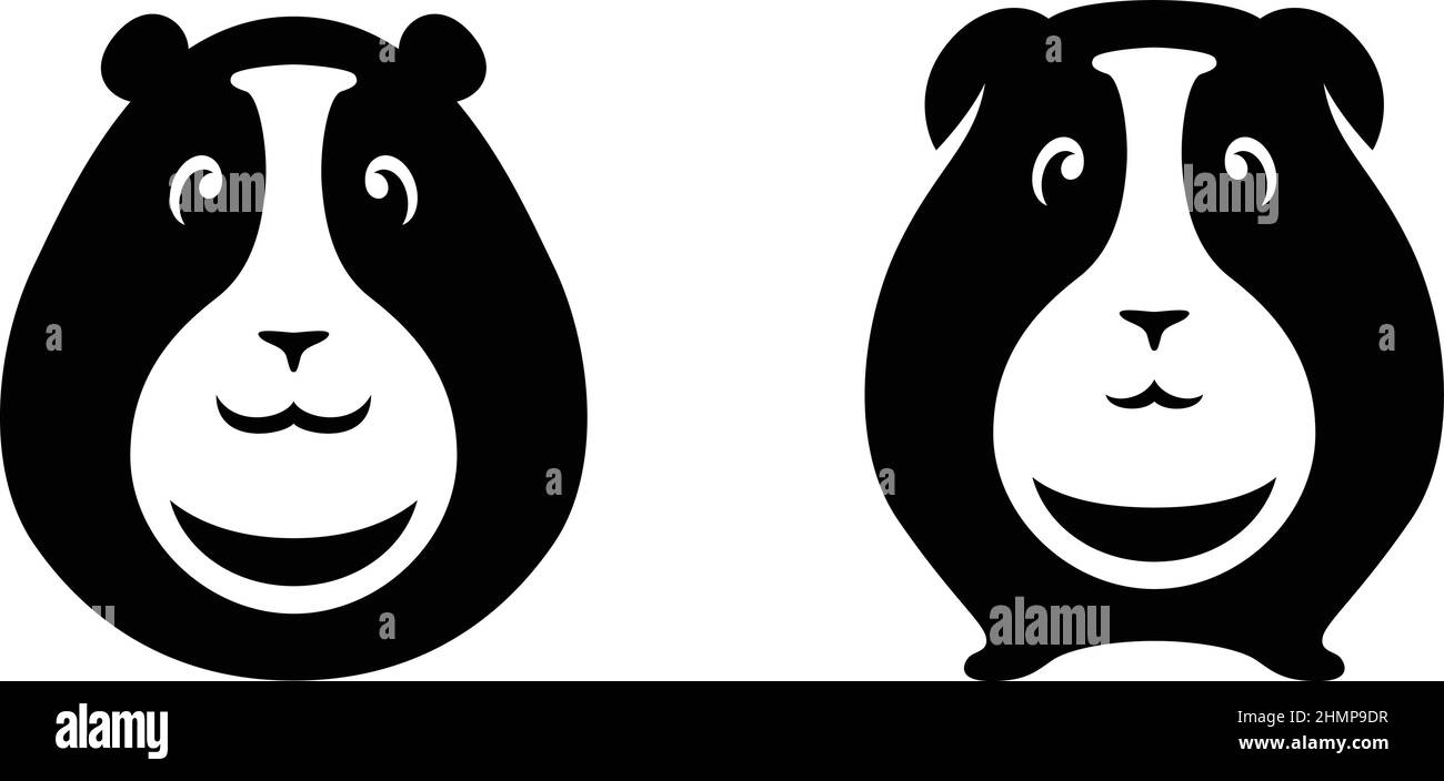 Porcellino d'india carino Foto e Immagini Stock in Bianco e Nero - Alamy