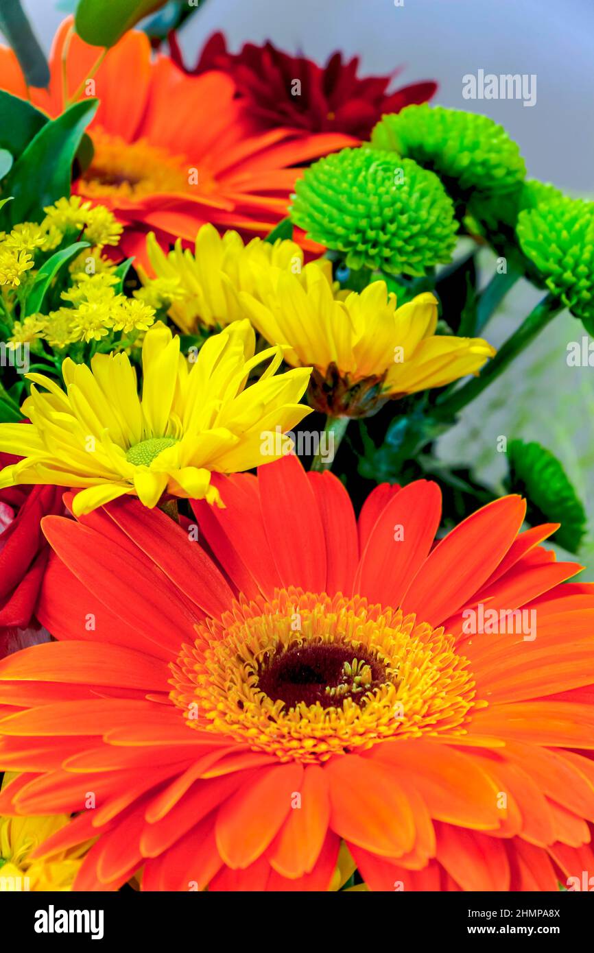 Bouquet festoso di vari fiori ben scelti primo piano Foto Stock