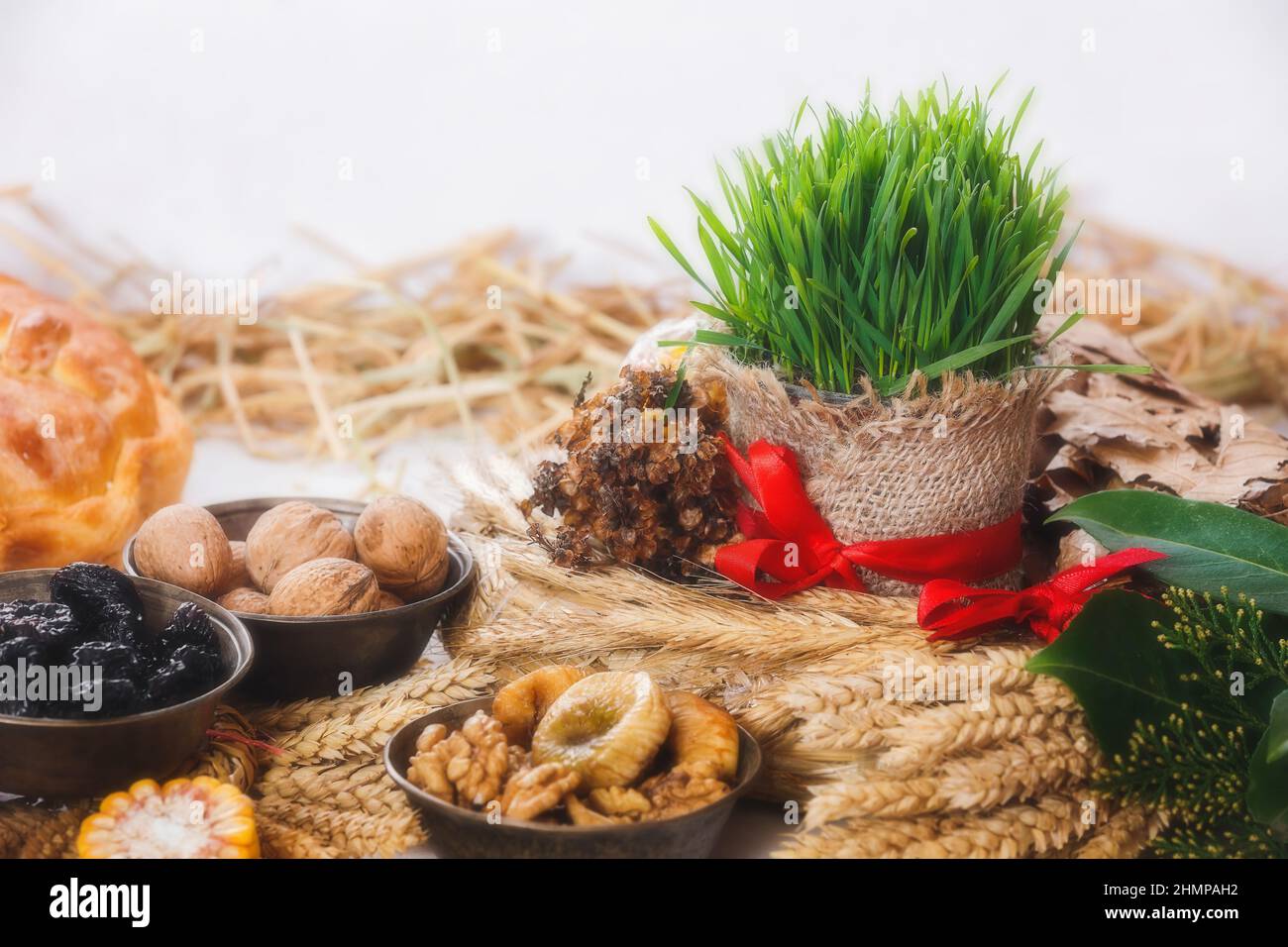 Tradizioni ortodosse di Natale. Yule log o badnjak, grano verde e cibo tradizionale la vigilia di Natale ortodossa. Primo piano, spazio di copia Foto Stock