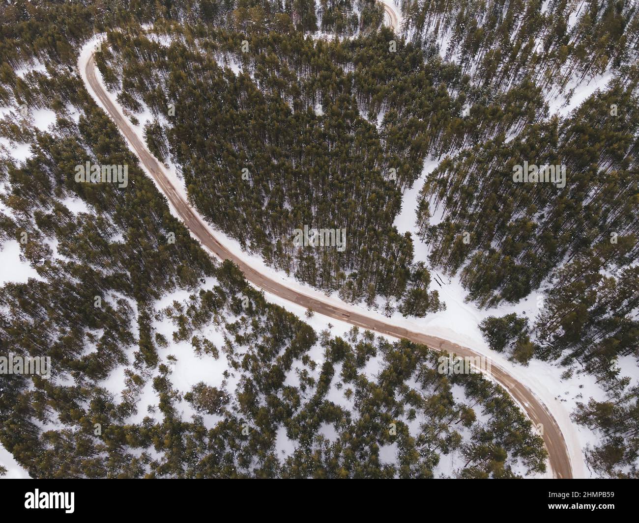Strada tortuosa nel paesaggio invernale. Vista aerea dal drone di strada tra gli alberi nella foresta innevata. Foto Stock