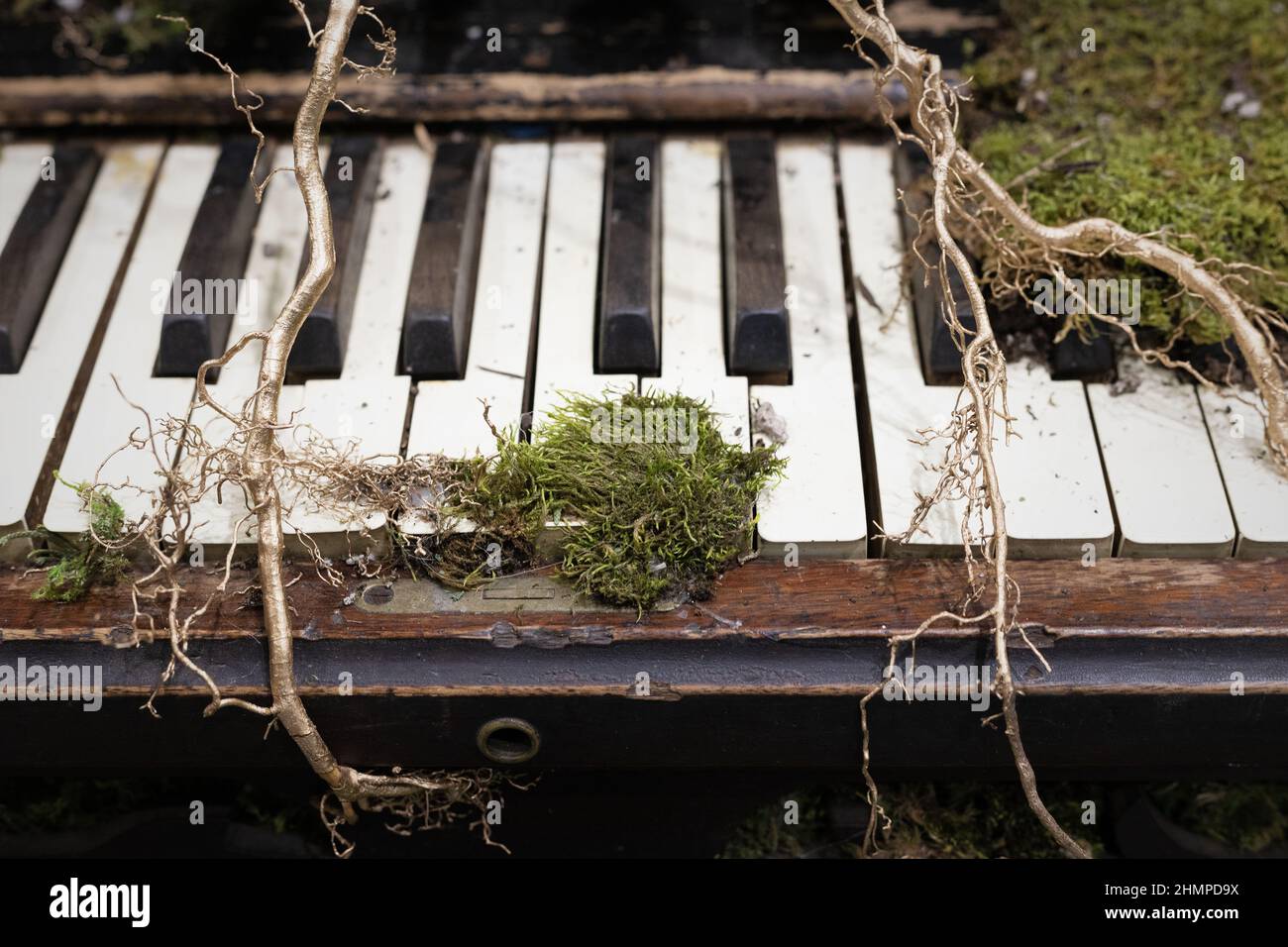 Un antico pianoforte coperto di radici e muschio in mostra al Northwest Flower and Garden show a Seattle, Washington. Foto Stock