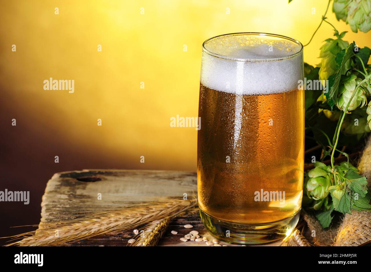 Ancora vita con bicchiere di birra e luppolo verde e orecchie di orzo su vecchio tavolo di legno Foto Stock