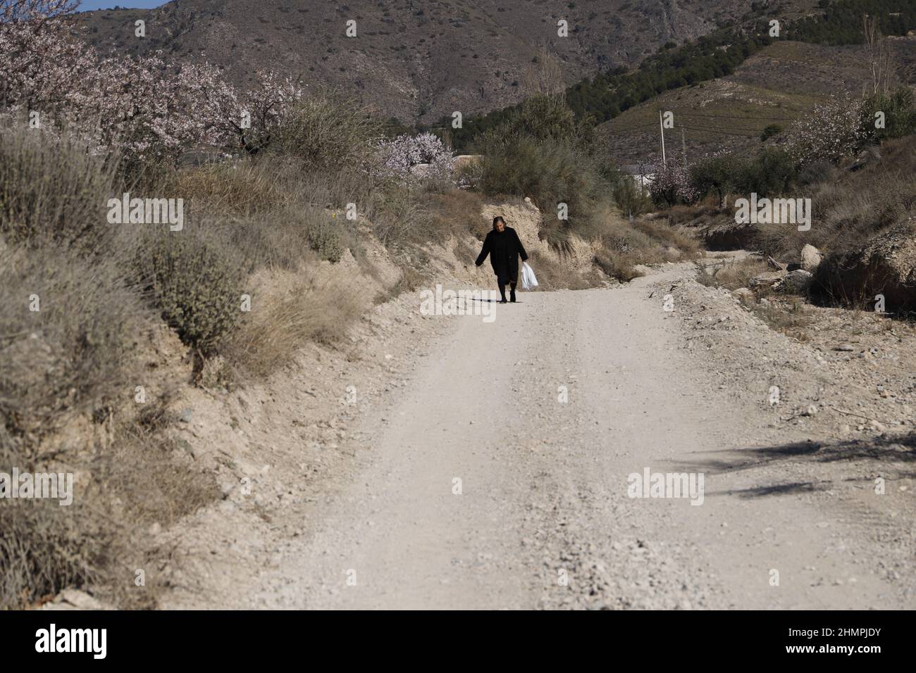 l'uomo anziano cammina nella natura Foto Stock