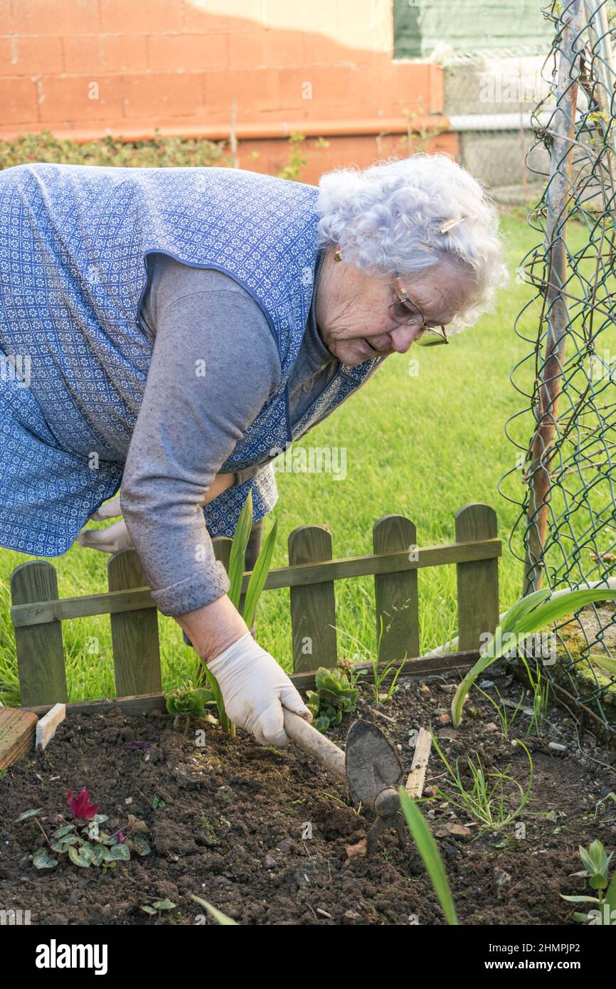 Donna anziana scavando suolo nel suo orto vegetale, Spagna Foto Stock