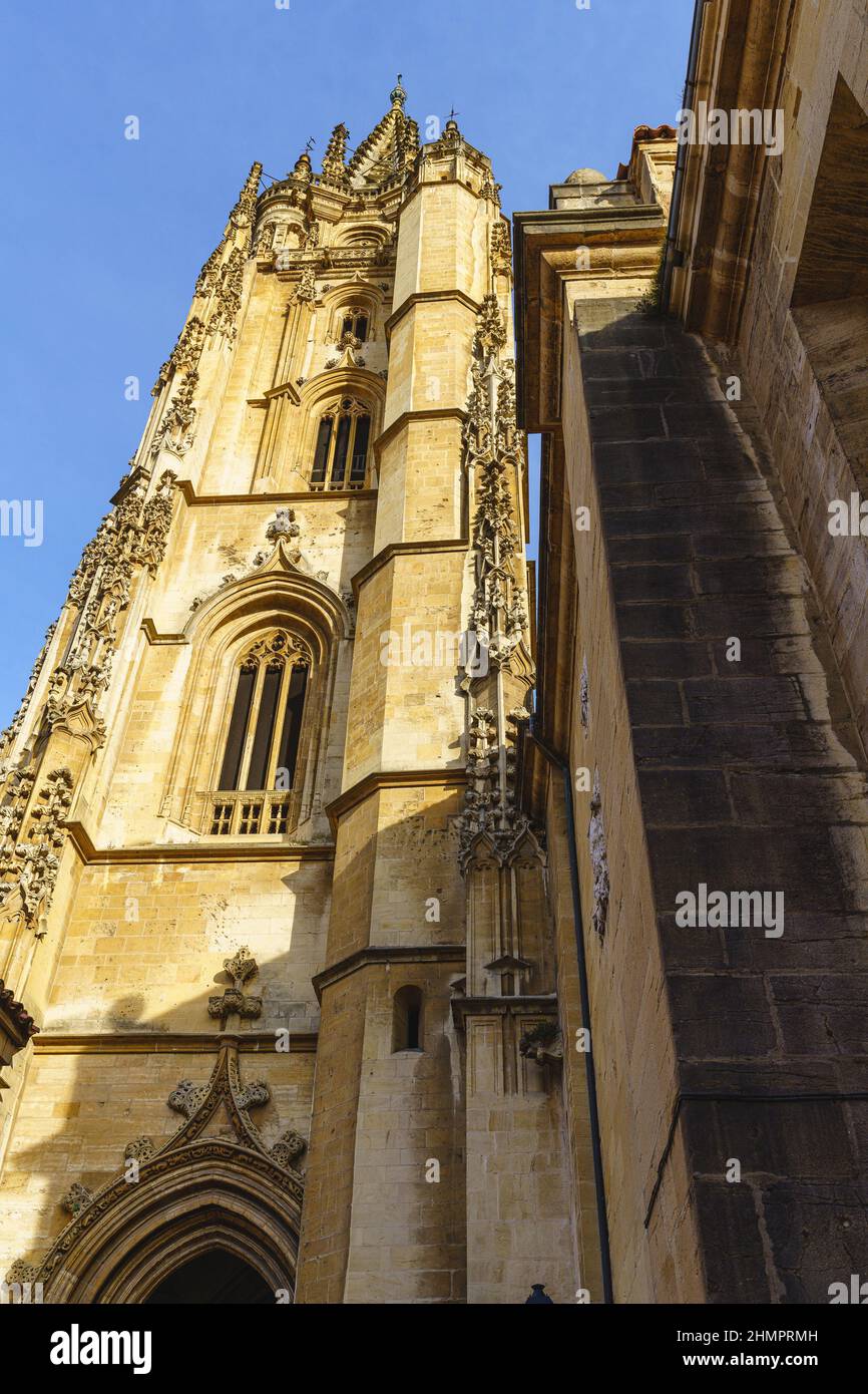 Vista della Cattedrale di Oviedo, Uvieu, nelle Asturie, Spagna Foto Stock