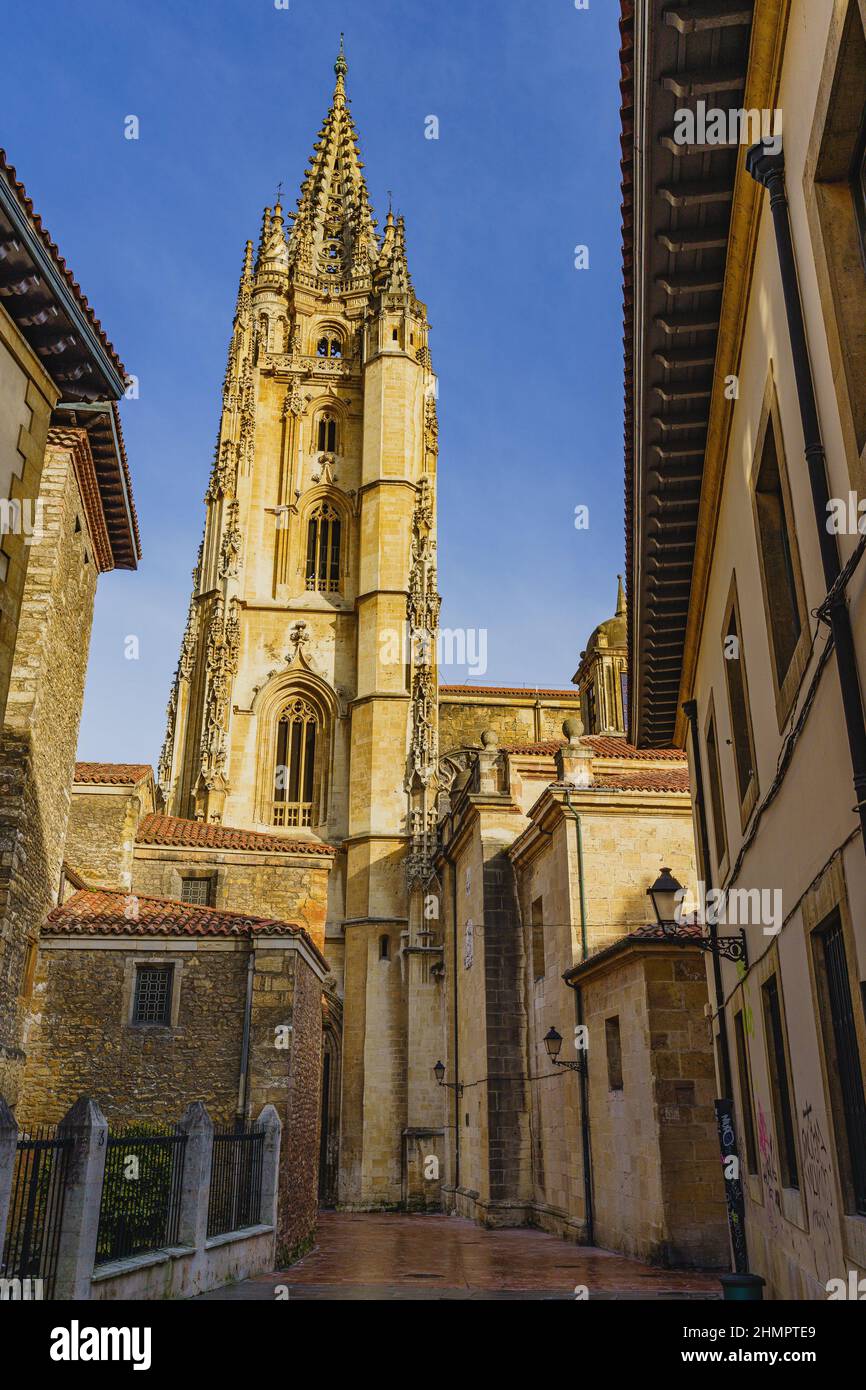 Vista della Cattedrale di Oviedo, Uvieu, nelle Asturie, Spagna Foto Stock