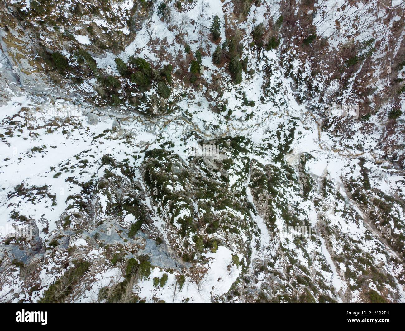 Vista a discesa di un fiume di montagna che scorre attraverso la foresta invernale. Foto Stock