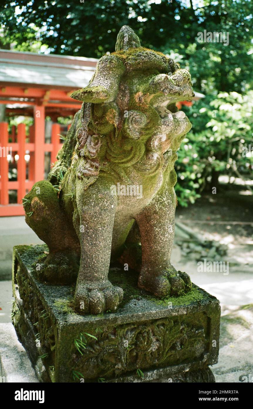 Colpo verticale della statua giapponese del cane demone coperto di muschio verde in Fukuoka Giappone Foto Stock