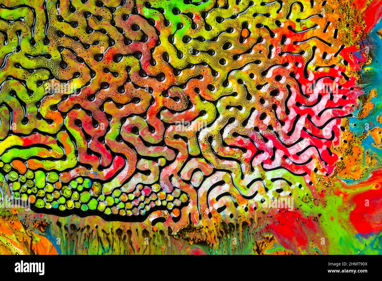 Arte astratta. Vortici, design artistico con coloratissimi colori a olio che formano sorprendenti strutture intricate con ferrofluido. Foto Stock