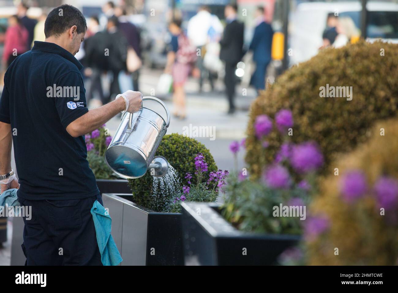 Reame pubblico verde, Victoria Street, Londra Foto Stock