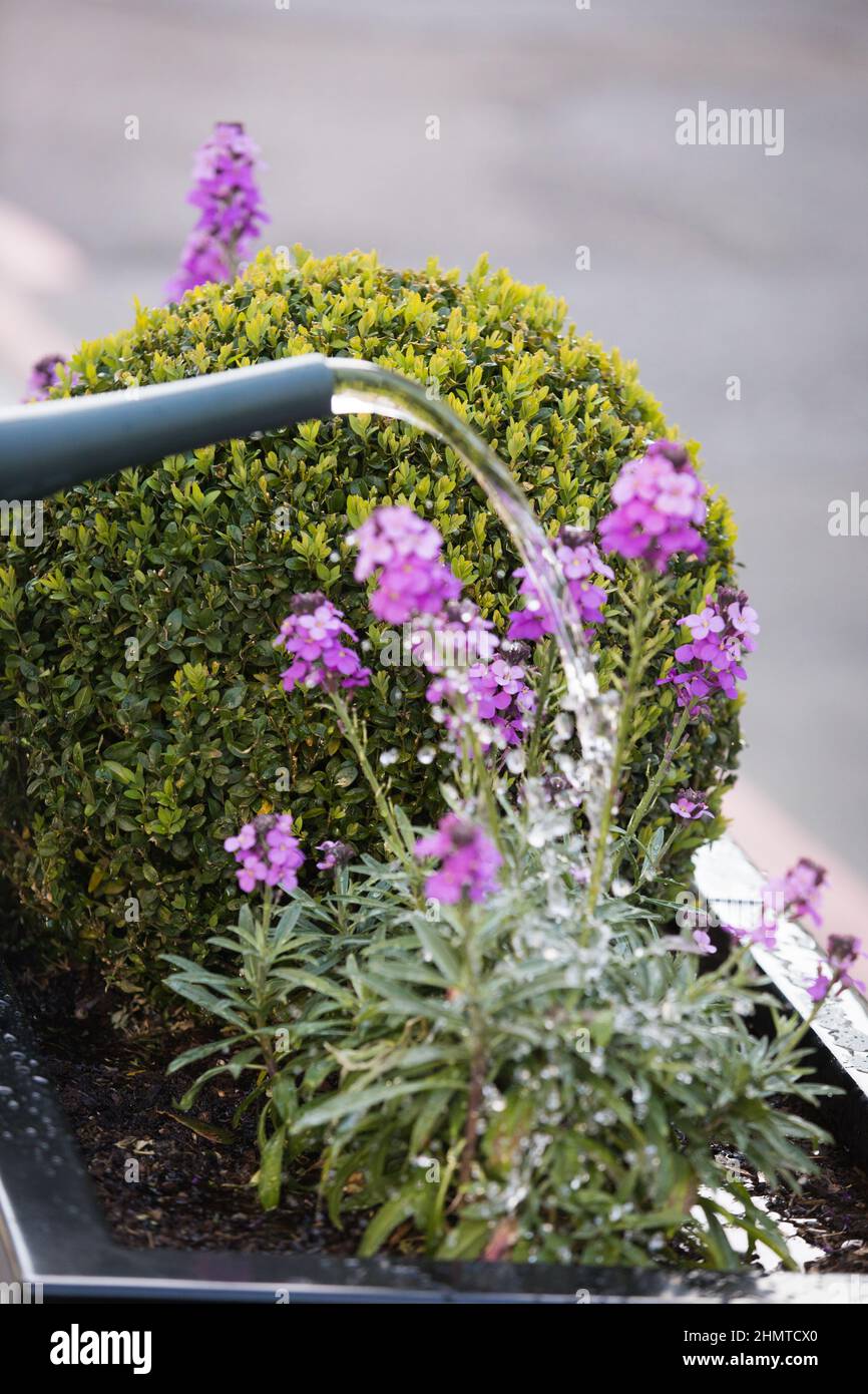Reame pubblico verde, Victoria Street, Londra Foto Stock