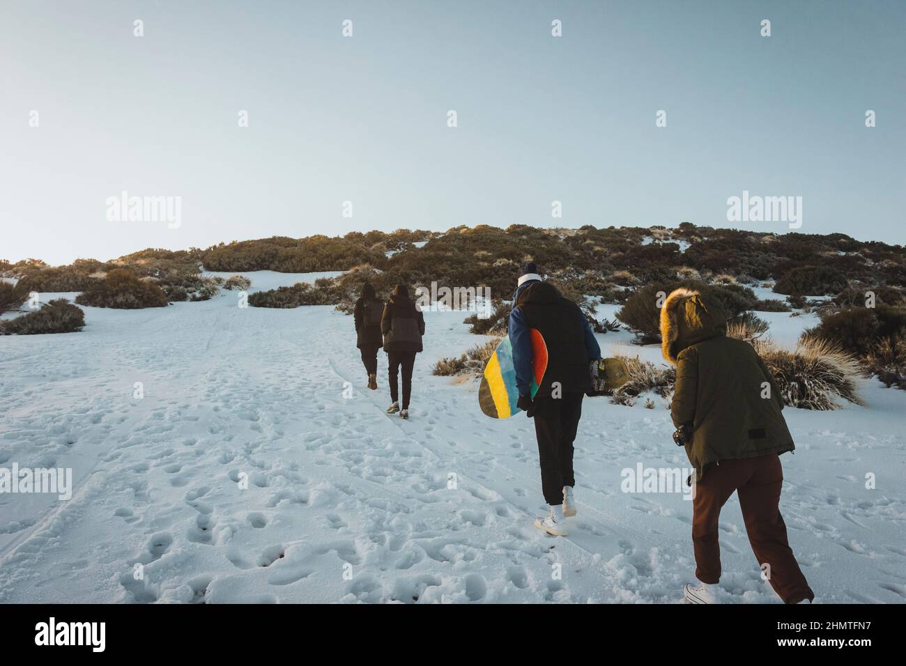 Gruppo di amici nella neve che cammina attraverso la neve Foto Stock