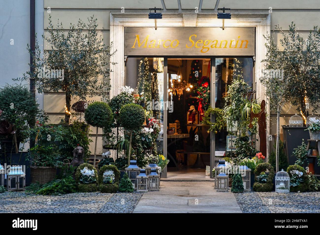 Negozio di fiori con numerose piante in vaso e oggetti decorativi nel centro storico di Torino, Piemonte, Italia Foto Stock