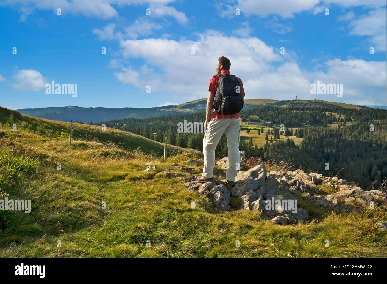 L''escursionista singolo dell''Herzogenhorn gode di una vista sul Feldberg nella Foresta Nera, Baden-Württemberg, Germania Foto Stock