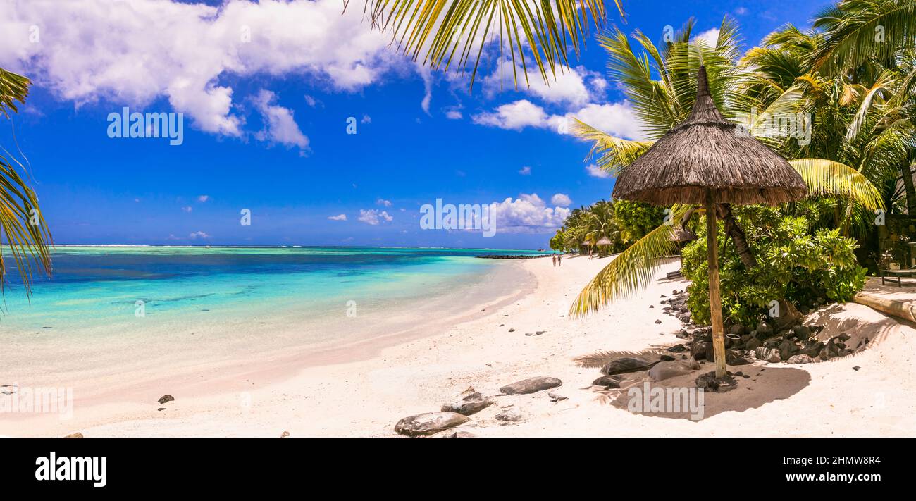 Idilliaca vacanza tropicale. Spiaggia da sogno con mare turchese, palme e sabbia bianca. Isola Mauritius Foto Stock