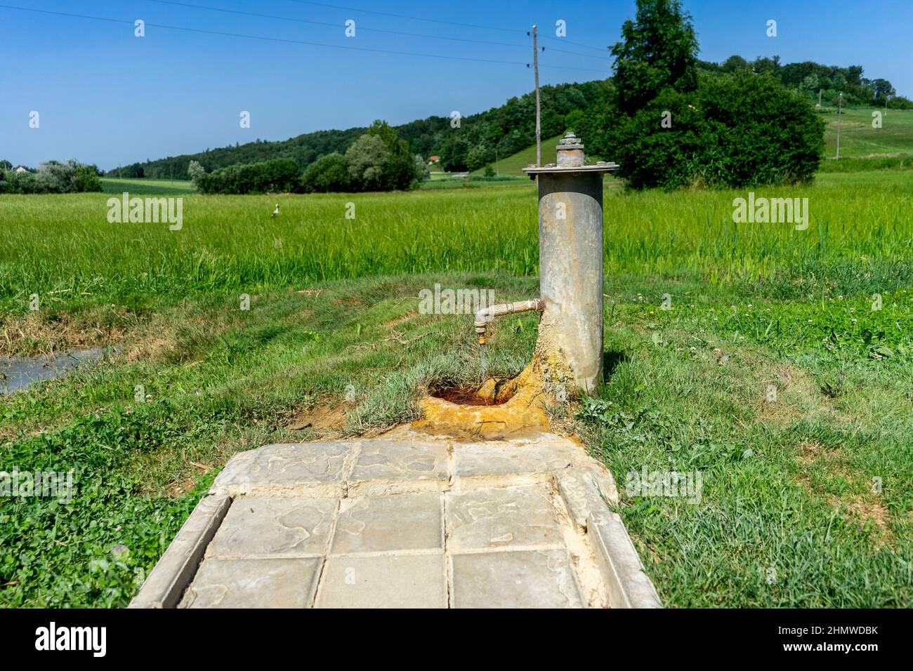 Sorgente di acqua termale nel mezzo di un prato verde. Foto Stock