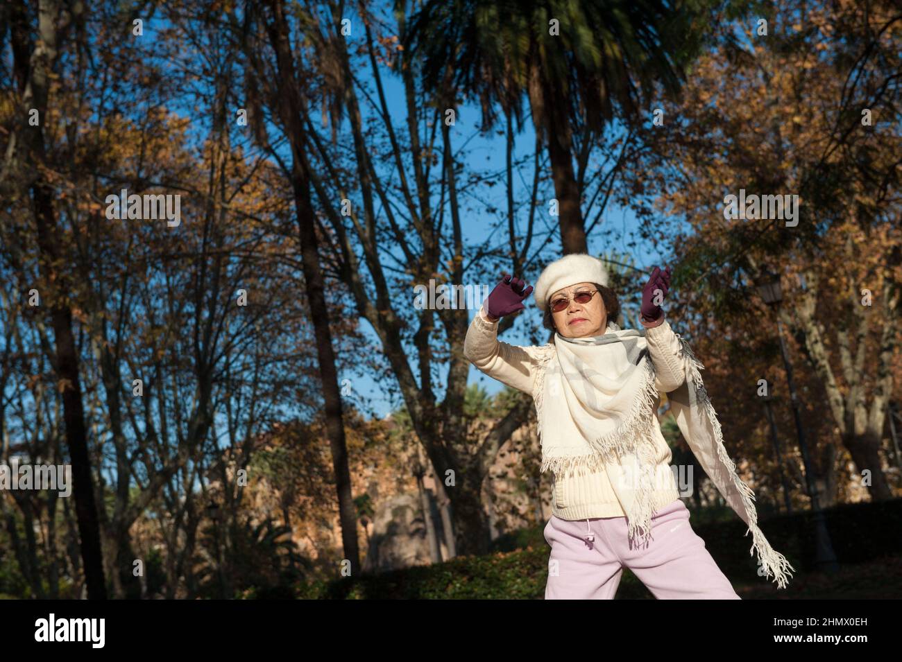 Roma, Italia 02/12/2015: La donna cinese esegue esercizi di Tai Chi Chuan nei giardini di Piazza Vittorio. ©Andrea Sabbadini Foto Stock