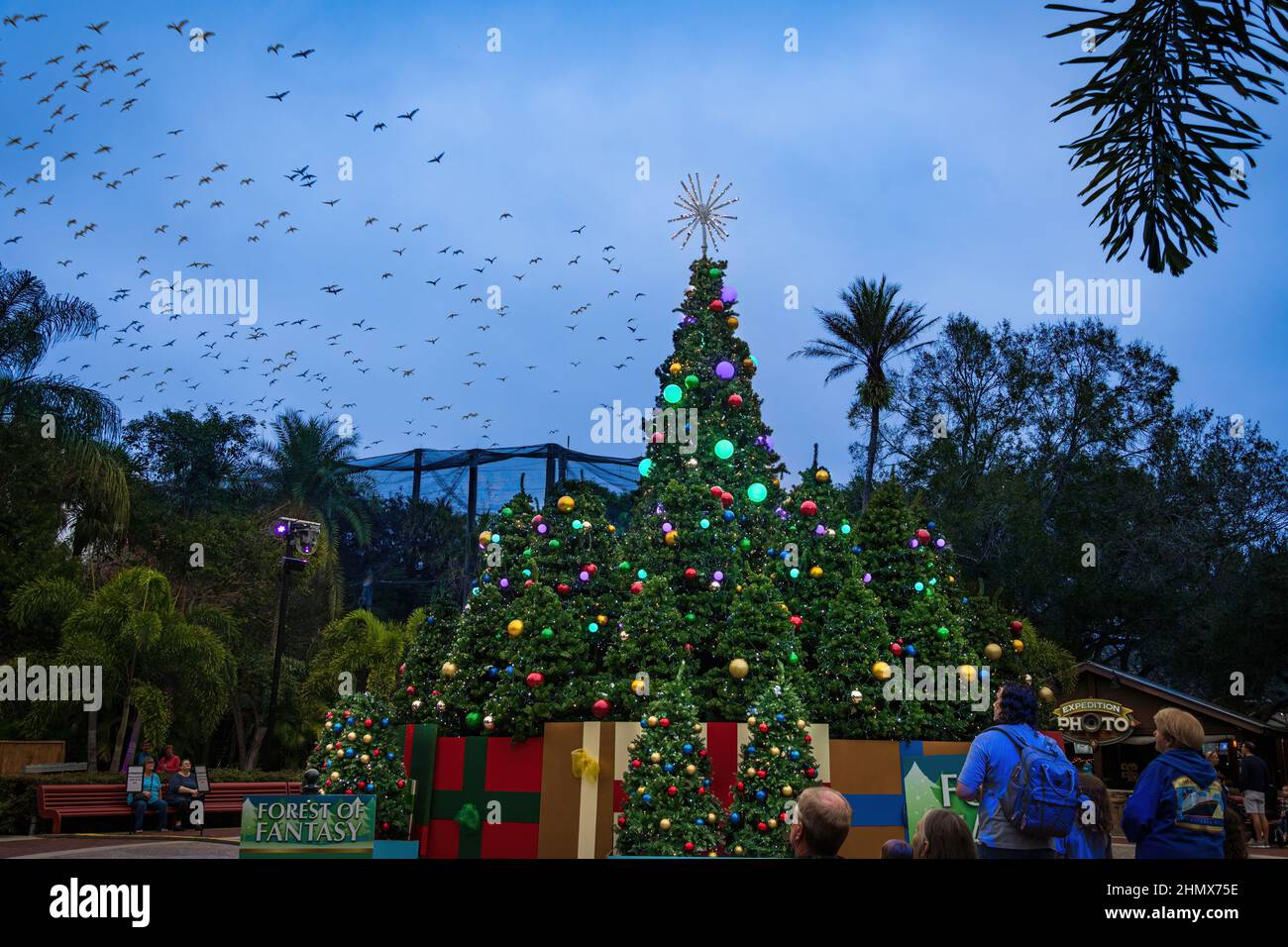 La Foresta della Fantasy al Natale nel selvaggio evento di festa, a ZooTampa al Lowry Park - Tampa, Florida, Stati Uniti Foto Stock