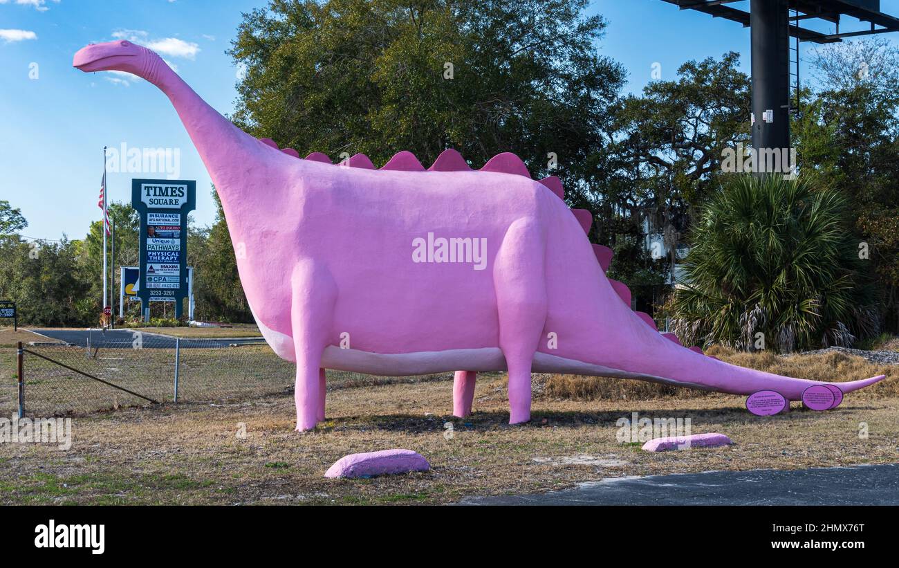 'Foxbower' il dinosauro rosa, un'attrazione su strada costruita nel 1959 per il Foxbower Wildlife Museum e il negozio di taxi - Spring Hill, Florida, USA Foto Stock