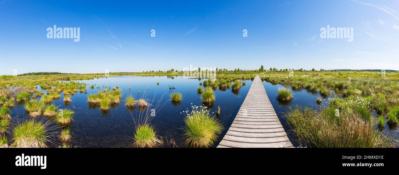 Passerella su un lago di palude al panorama di Hautes Fagnes Foto Stock