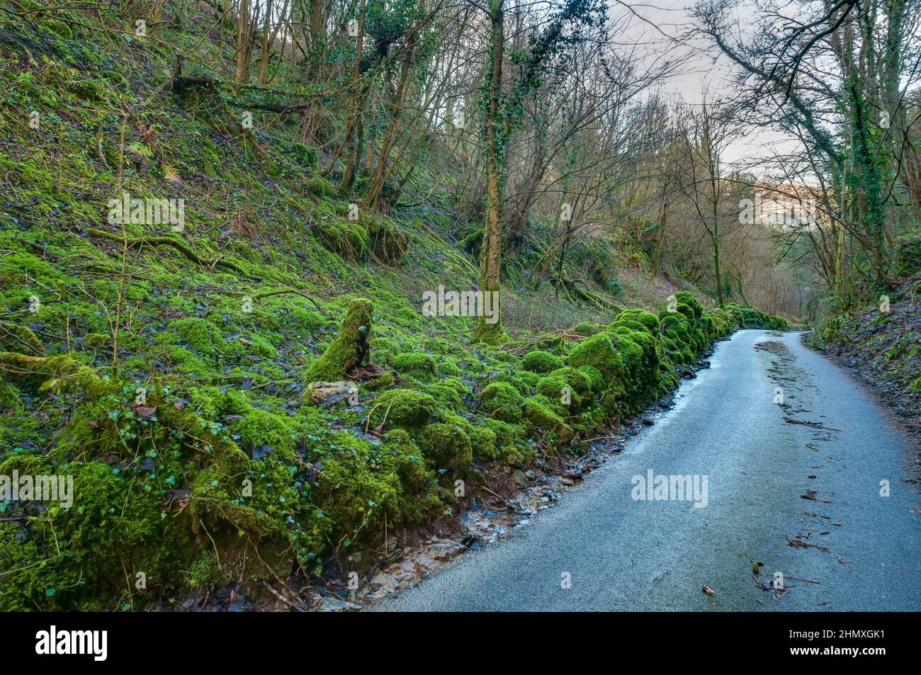 Una scena tranquilla al sole d'inverno su una Farnsley Lane in crescita sotto le opere di fluorite di Cavendish Mill, vicino a Stoney Middleton, Derbyshire. Foto Stock