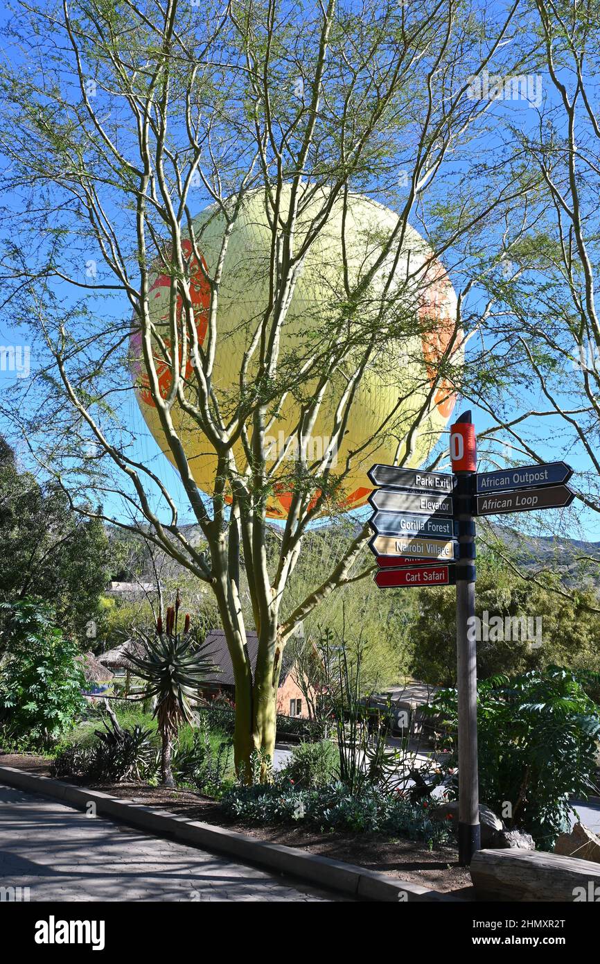 ESCONDIDO, CALIF - 9 FEB 2022: Cartello di direzione e Balloon Safari oltre gli alberi al San Diego Zoo Safari Park. Foto Stock