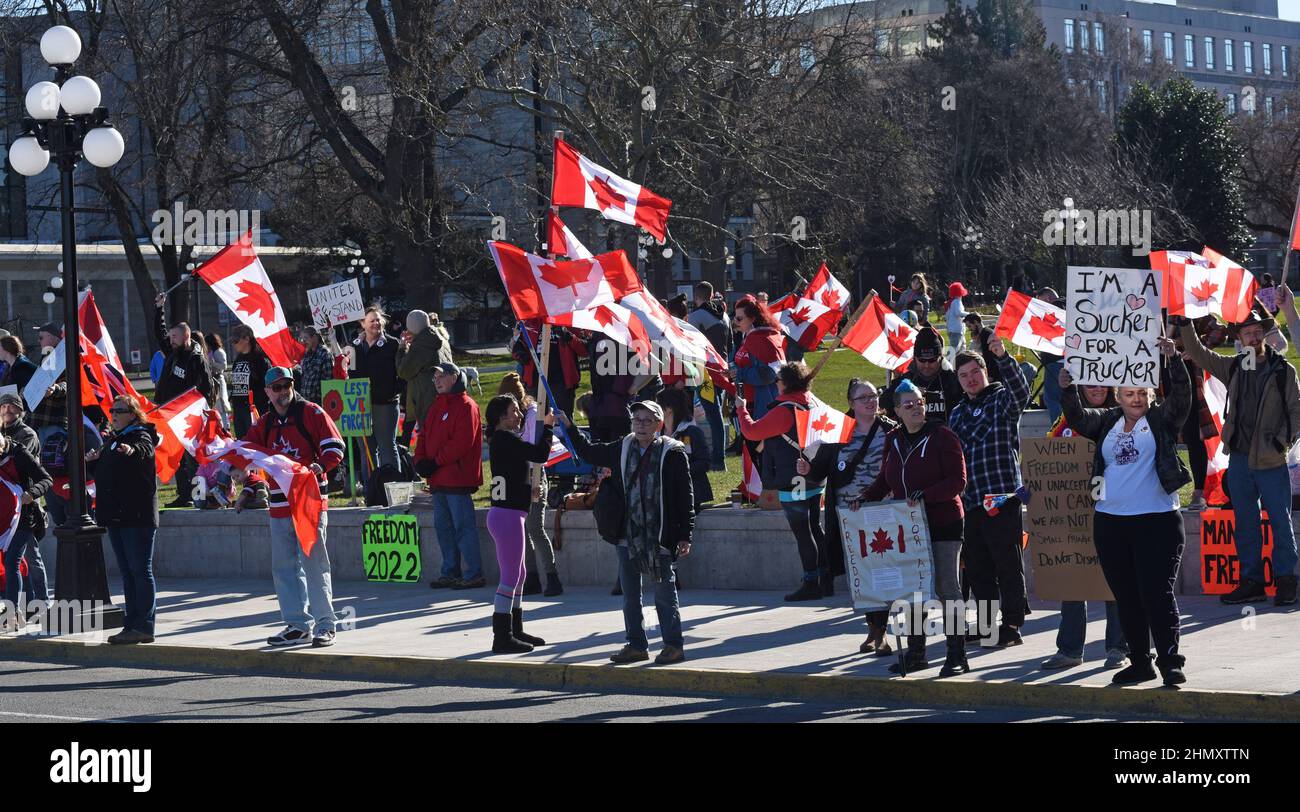 Victoria, British Columbia, Canada 12 febbraio, 2022 - i manifestanti ondano bandiere canadesi e hanno dei cartelli per una protesta anti-vaccinazione tenuta fuori dagli edifici della Legislatura provinciale nel centro di Victoria. Don Denton/Alamy Live News Foto Stock