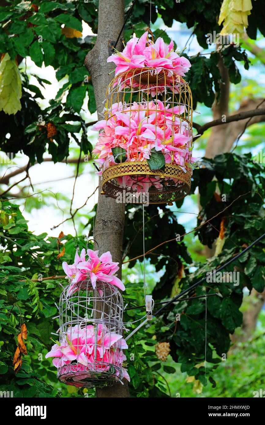 Graziose rose rosa in cestini appesi nel verde giardino 2 Foto Stock