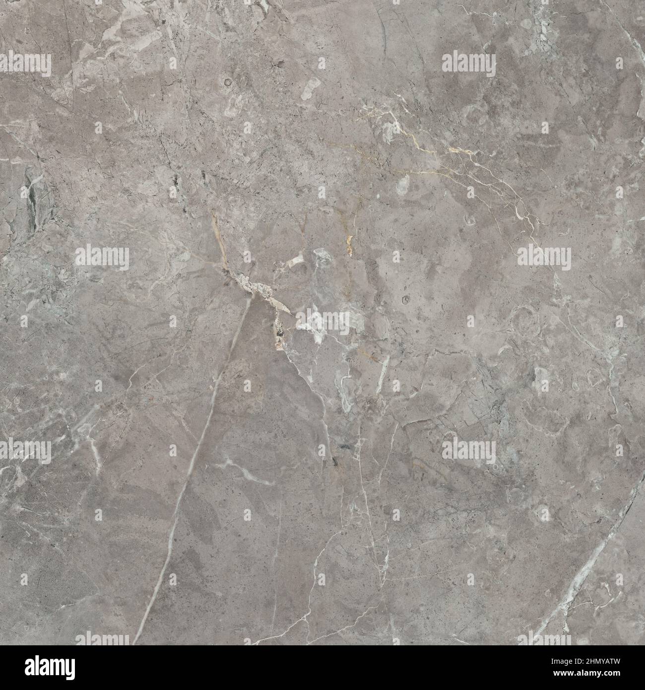 La texture di grigio decorativi in gesso o cemento. Sfondo astratti per la progettazione. Monocromatico. Foto Stock