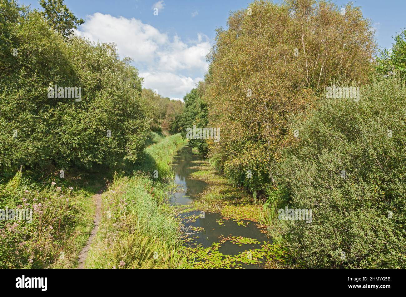 Tennant Canal (a sud dell'abbazia di Neath), Neath Port Talbot, Galles del Sud, Regno Unito Foto Stock