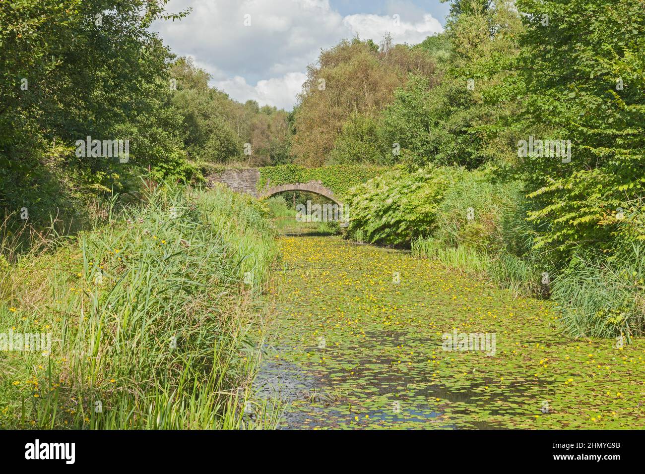 Ponte sul canale Tennant (a sud dell'abbazia di Neath), Neath Port Talbot, Galles del Sud, Regno Unito Foto Stock