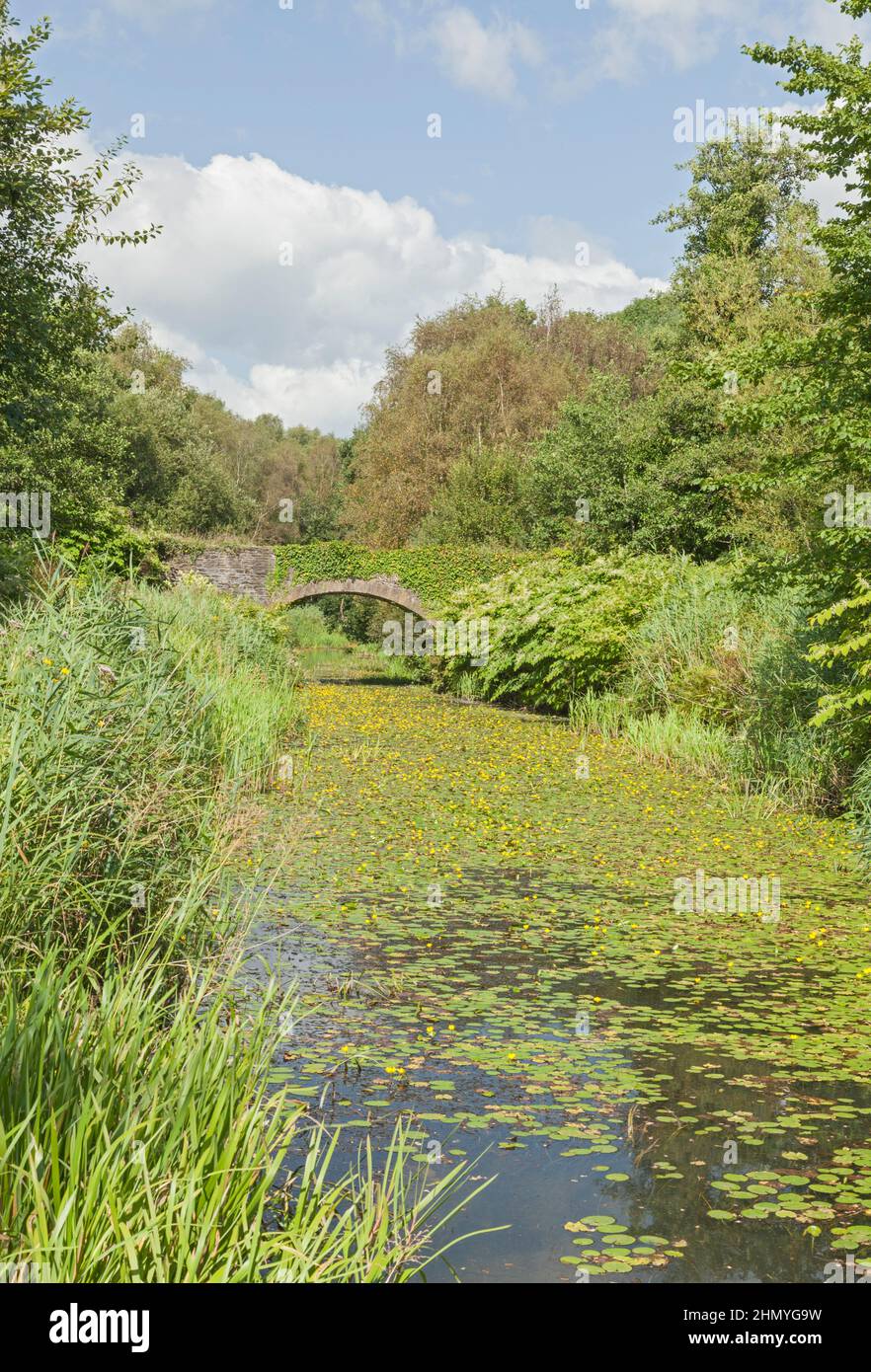 Ponte sul canale Tennant (a sud dell'abbazia di Neath), Neath Port Talbot, Galles del Sud, Regno Unito Foto Stock