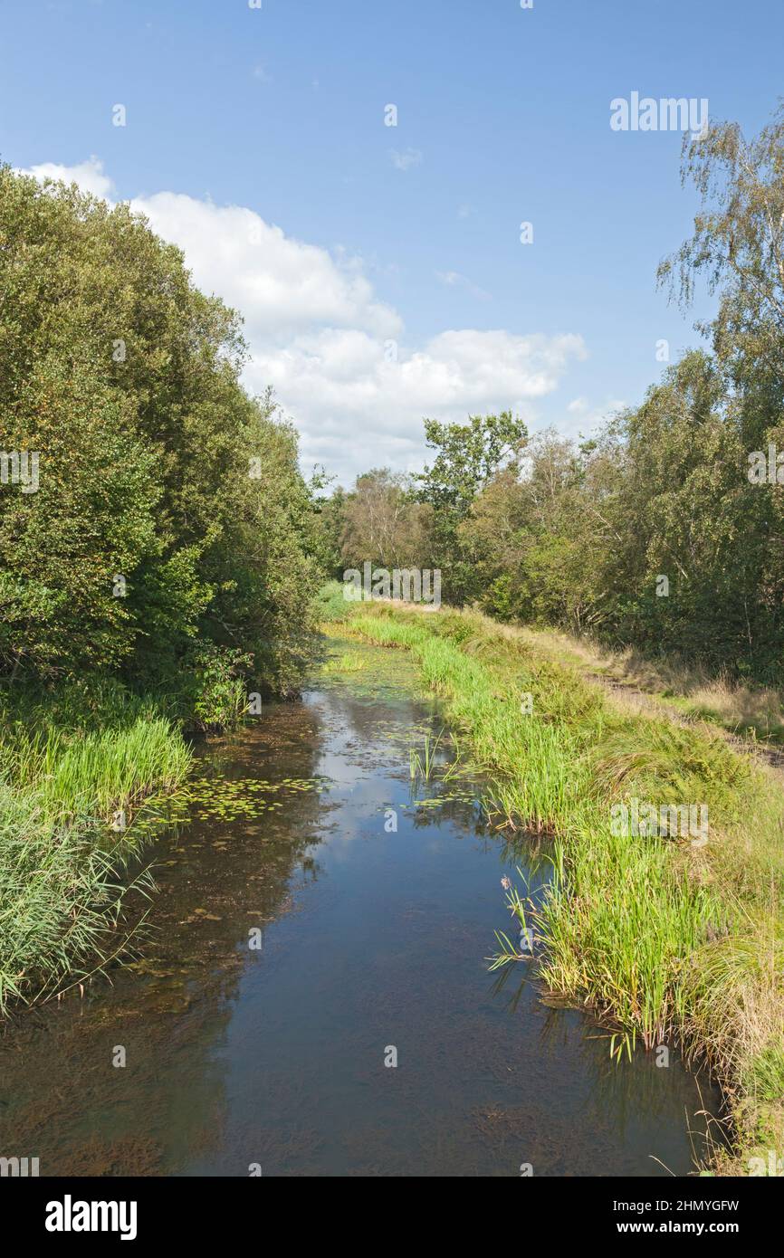 Tennant Canal (a sud dell'abbazia di Neath), Neath Port Talbot, Galles del Sud, Regno Unito Foto Stock