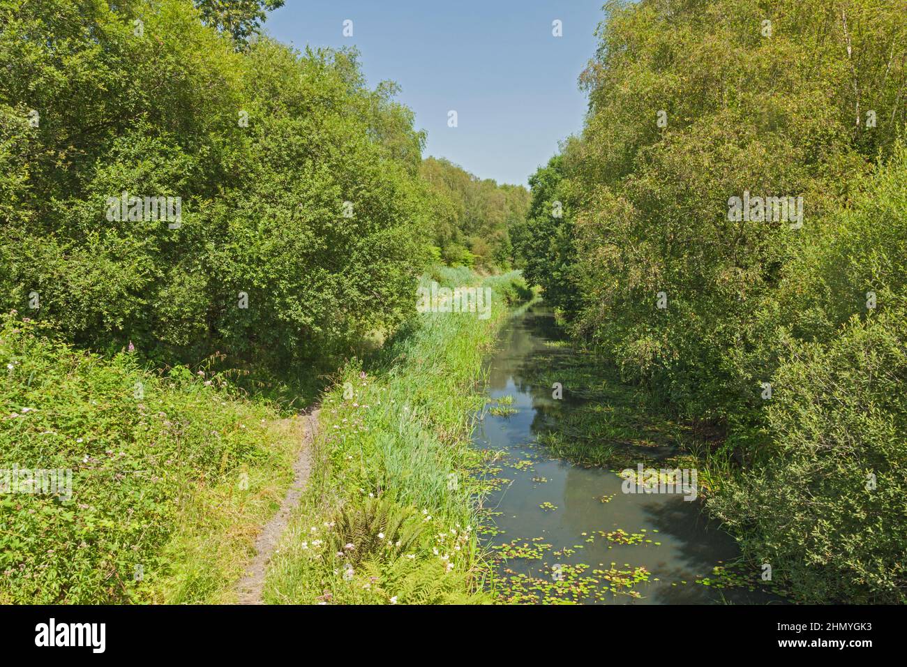 Tennant Canal (a sud dell'abbazia di Neath), Neath Port Talbot, Galles del Sud, Regno Unito Foto Stock