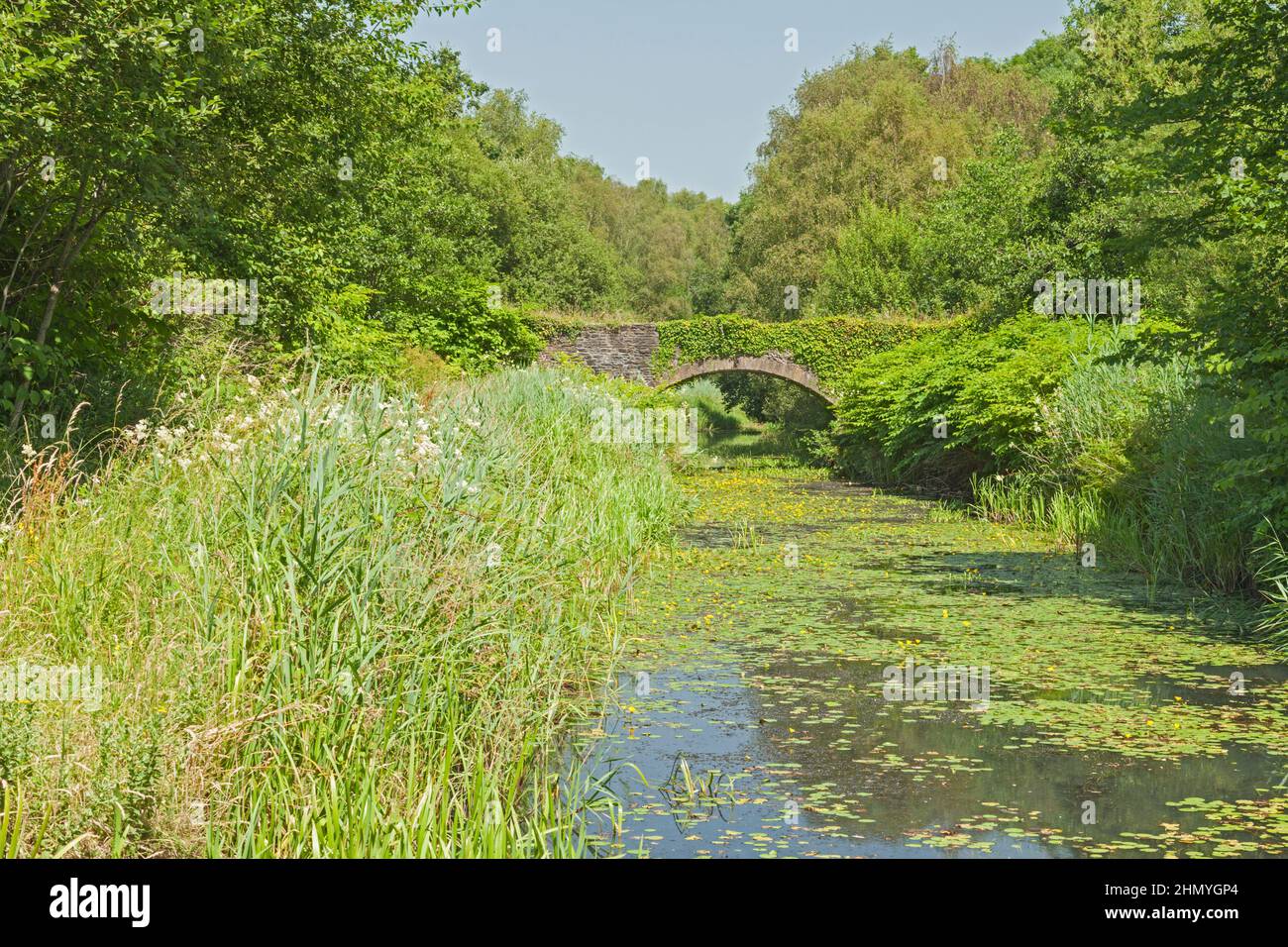 Ponte sul canale Tennant (a sud dell'abbazia di Neath), Neath Port Talbot, Galles del Sud, Regno Unito Foto Stock