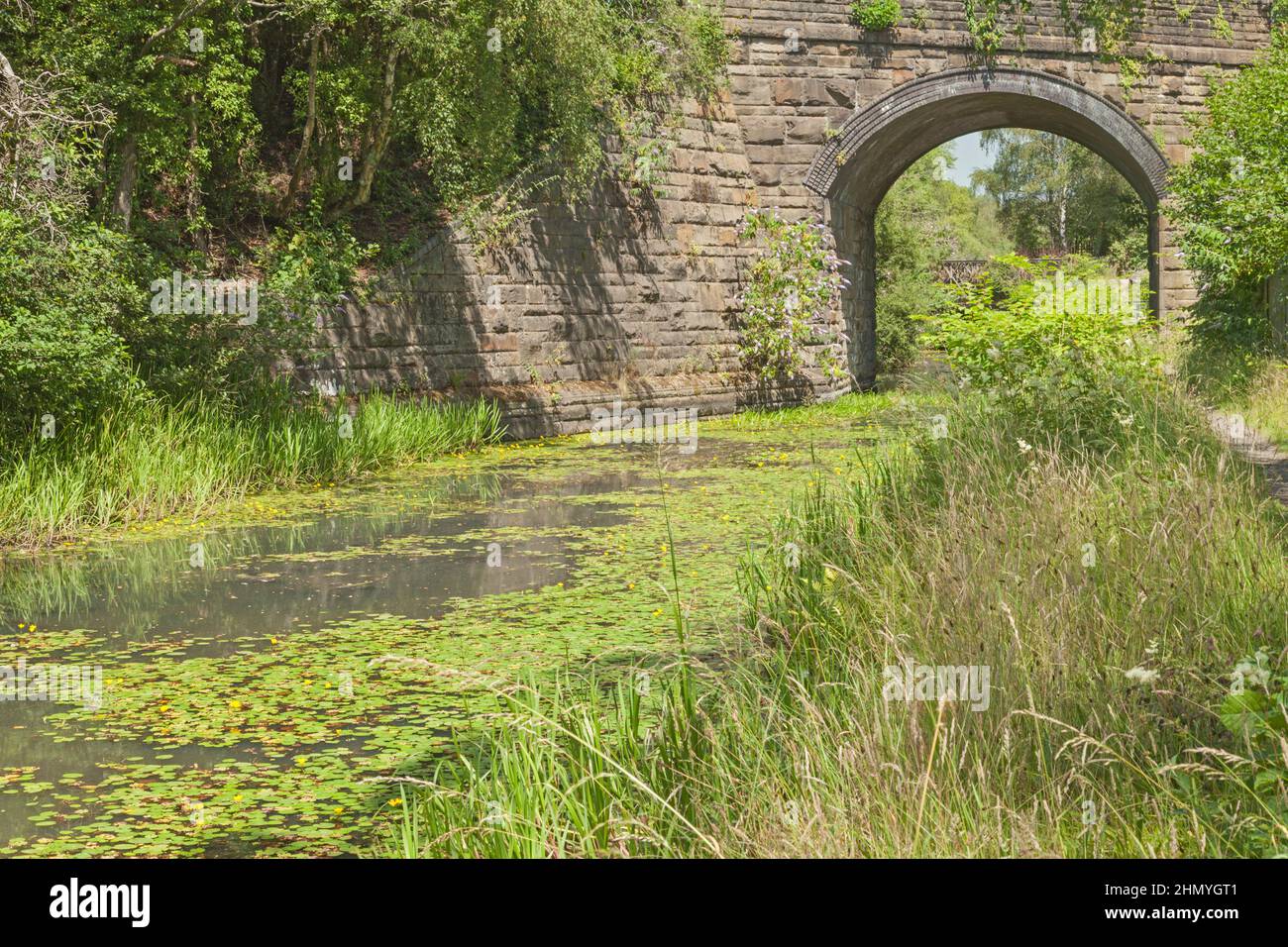 Ponte sul canale Tennant (a sud dell'abbazia di Neath), Neath Port Talbot, Galles del Sud, Regno Unito Foto Stock