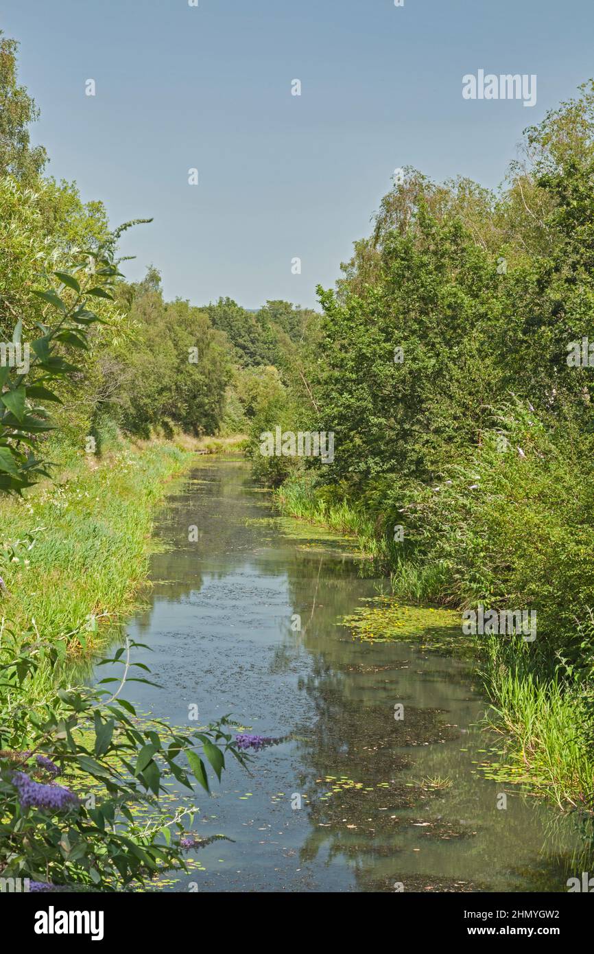 Tennant Canal (a sud dell'abbazia di Neath), Neath Port Talbot, Galles del Sud, Regno Unito Foto Stock