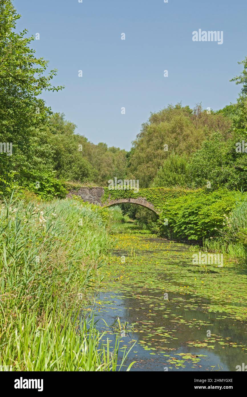 Ponte sul canale Tennant (a sud dell'abbazia di Neath), Neath Port Talbot, Galles del Sud, Regno Unito Foto Stock