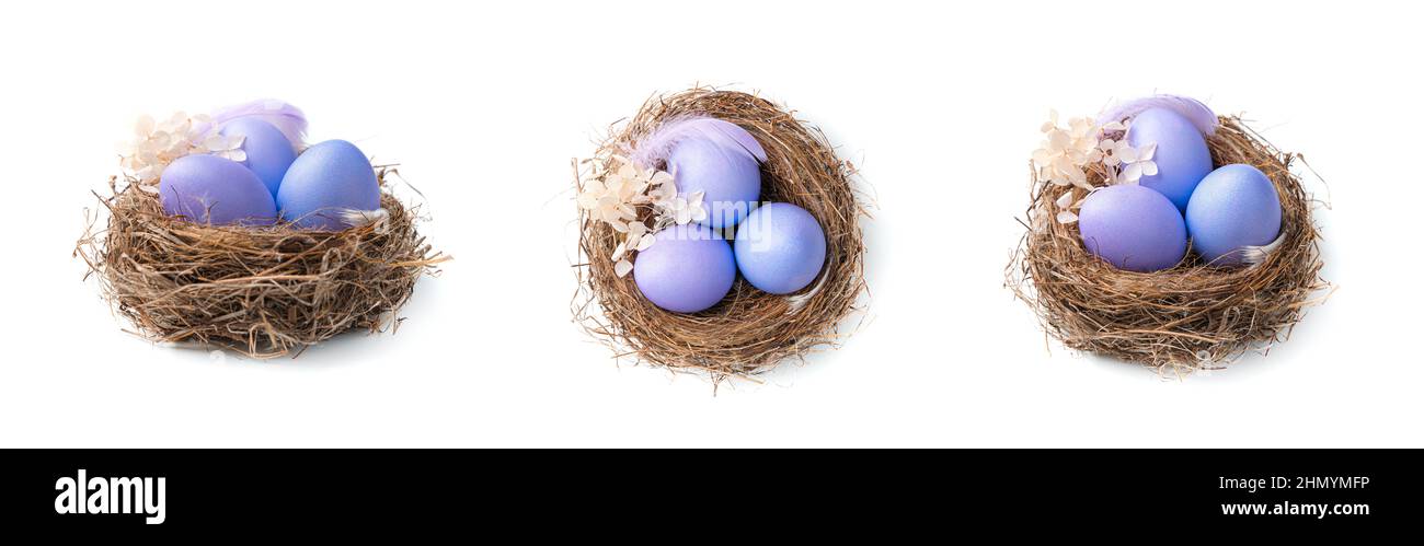 Tre nidi con uova di Pasqua viola in diverse angolazioni. Il concetto di Pasqua. Foto Stock