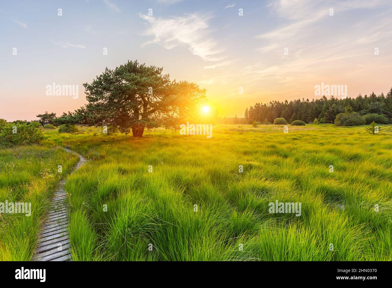 Tramonto alle Hautes Fagnes Foto Stock