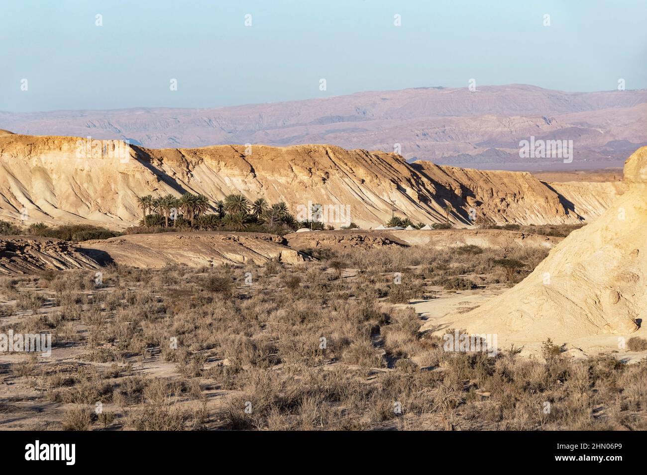 Un uomo artificiale fece oasi di palme nel deserto di Arava nel Negev in Israele con le montagne della Giordania e un cielo blu chiaro sullo sfondo Foto Stock
