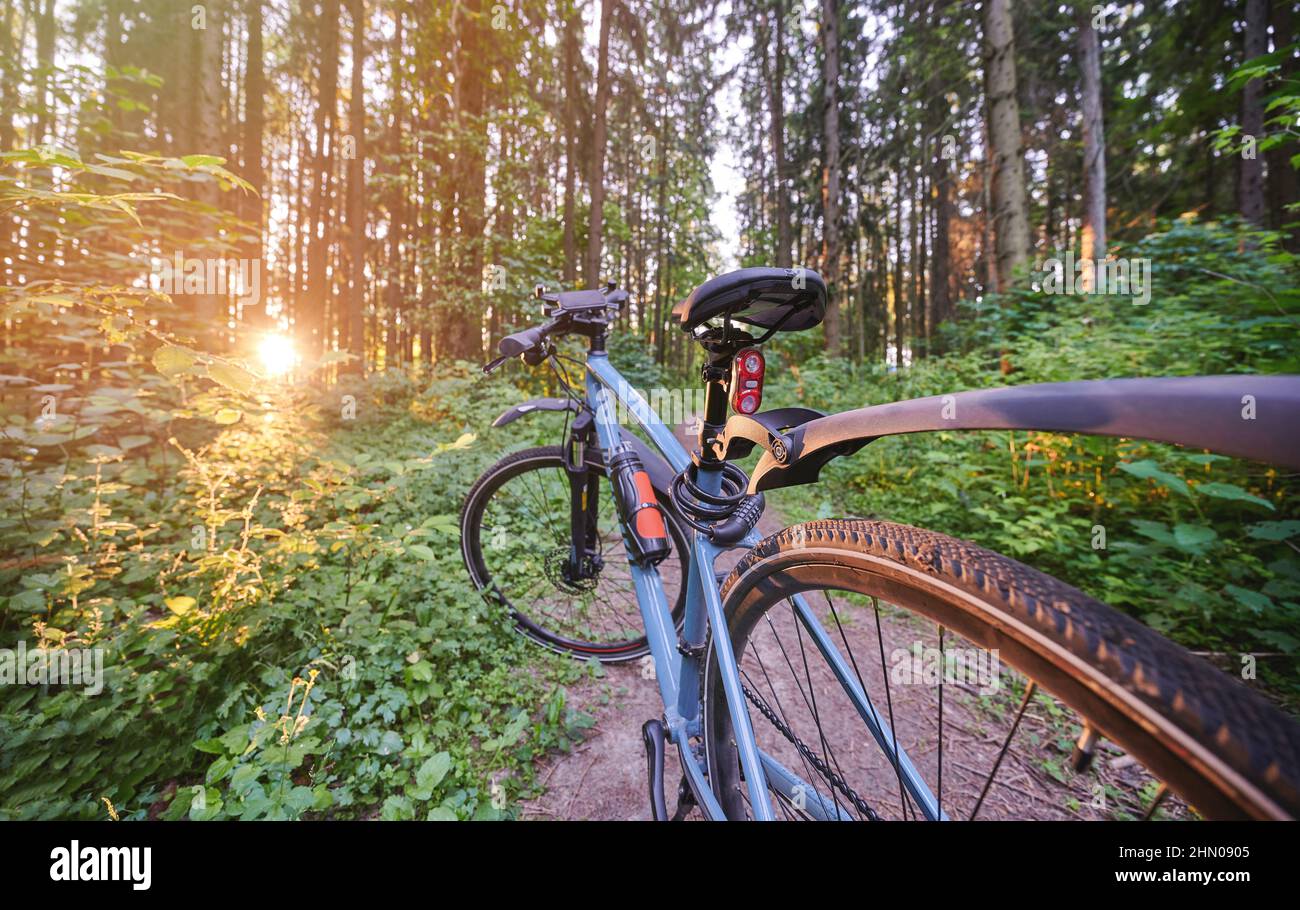 Bicicletta blu su sfondo foresta mattutino alla luce del sole Foto Stock